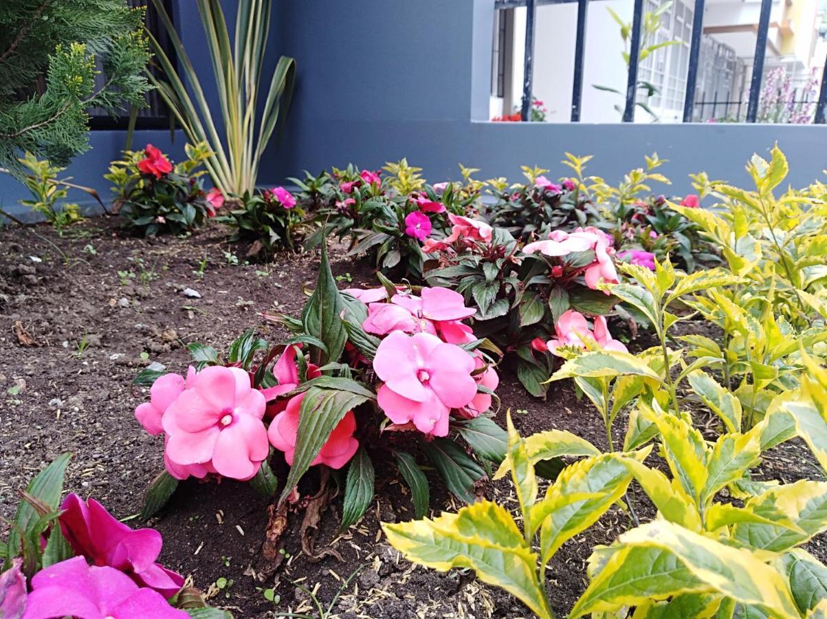 Hotel Jardín 38 Pasto Pokoj fotografie